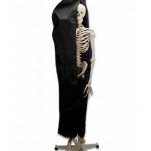 Skeleton Dust Cover