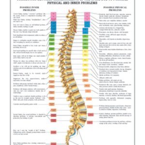 Dorn Therapy Anatomical Chart