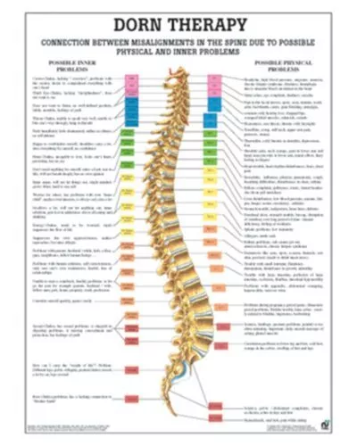 Dorn Therapy Anatomical Chart