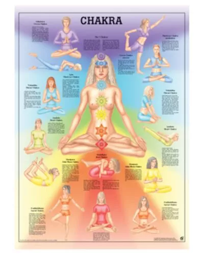 Chakra Anatomical Chart