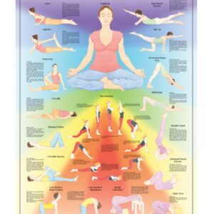 Basic Yoga Anatomical Chart