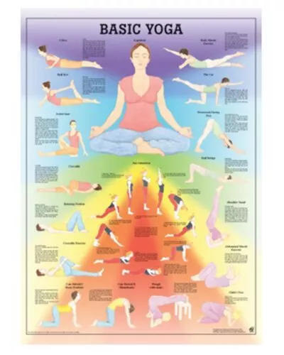 Basic Yoga Anatomical Chart