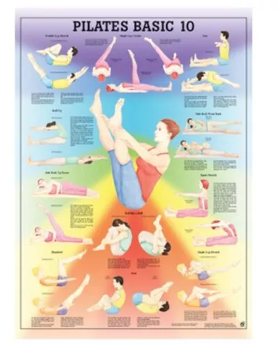 Pilates Basic 10 Anatomical Chart