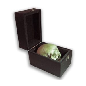 Skull Carrying Case