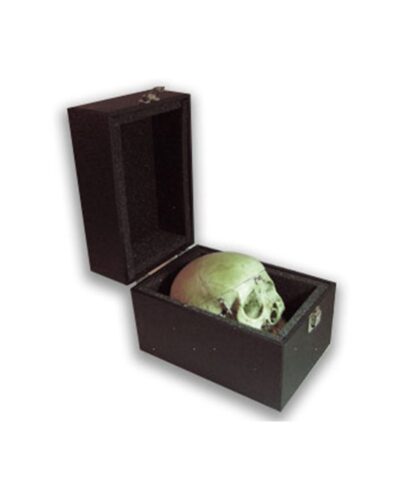 Skull Carrying Case