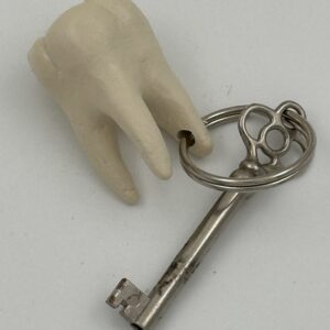 Tooth Key Ring