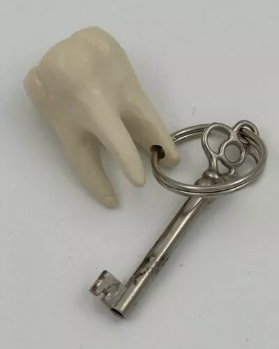 Tooth Key Ring