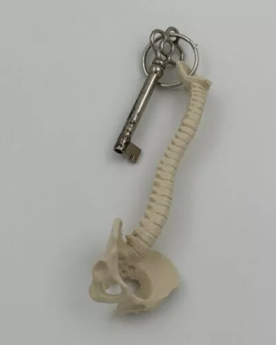 Spine Key Ring