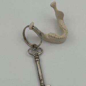 Jaw Key Ring