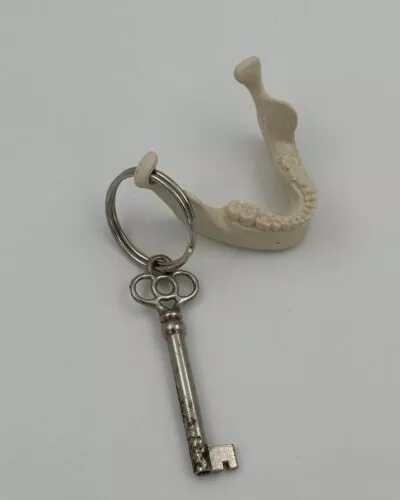 Jaw Key Ring