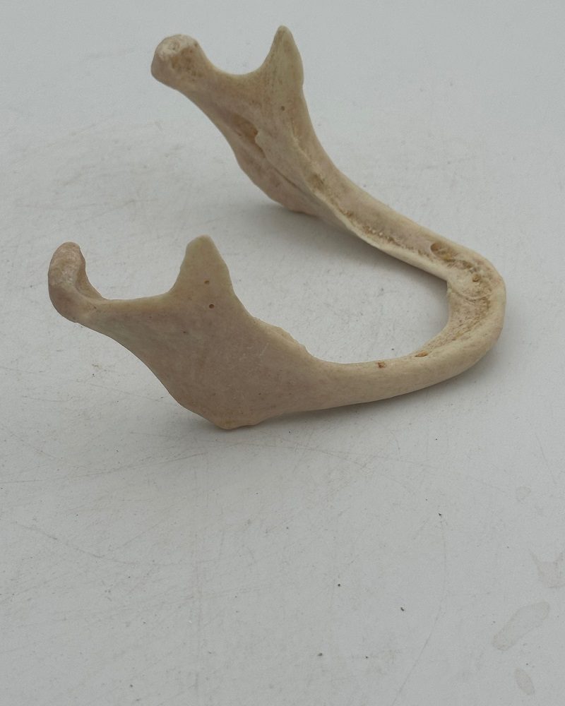 26A