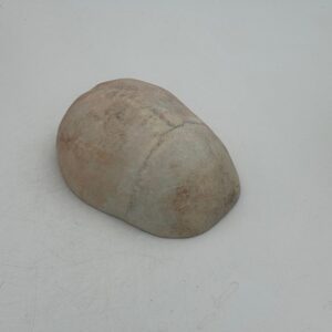 Skull Cap
